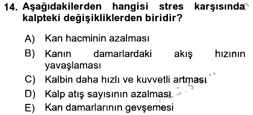Çatışma ve Stres Yönetimi 2 2016-2017 Ara Sınav - 14. soru