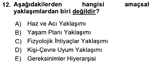 İş ve Yaşamda Motivasyon 2016-2017 3 Ders Sınavı - 12. soru