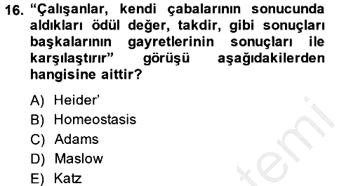 İş ve Yaşamda Motivasyon 2014-2015 Dönem Sonu Sınavı - 16. soru