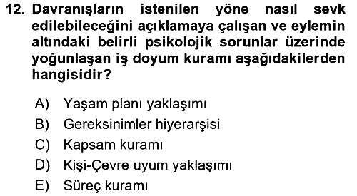 İş ve Yaşamda Motivasyon 2015-2016 Dönem Sonu Sınavı - 12. soru