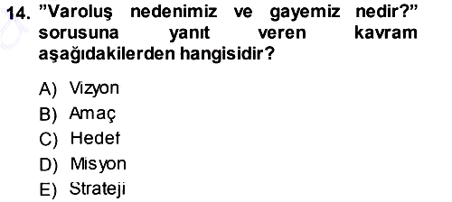 Stratejik Yönetim 2013-2014 Ara Sınav - 14. soru