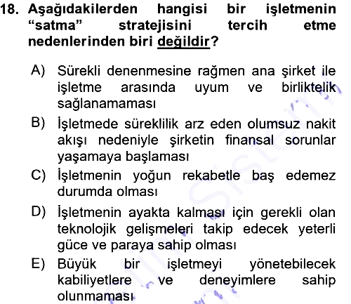 Stratejik Yönetim 2015-2016 Ara Sınav - 18. soru