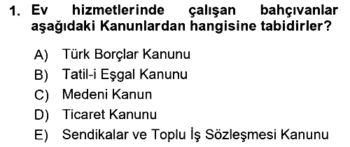 Bireysel İş Hukuku 2022-2023 Dönem Sonu Sınavı - 1. soru