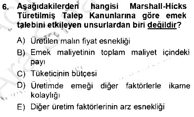 Çalışma Ekonomisi 1 2012-2013 Ara Sınav - 6. soru