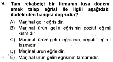 Çalışma Ekonomisi 1 2012-2013 Ara Sınav - 9. soru