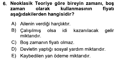 Çalışma Ekonomisi 1 2022-2023 Ara Sınav - 6. soru