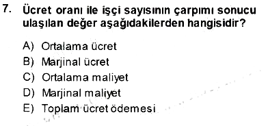 Çalışma Ekonomisi 1 2013-2014 Dönem Sonu Sınavı - 7. soru
