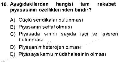Çalışma Ekonomisi 1 2013-2014 Dönem Sonu Sınavı - 10. soru