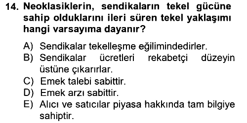 Çalışma Ekonomisi 2 2012-2013 Ara Sınav - 14. soru