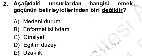 Çalışma Ekonomisi 2 2013-2014 Ara Sınav - 2. soru