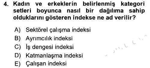 Çalışma Ekonomisi 2 2015-2016 Dönem Sonu Sınavı - 4. soru