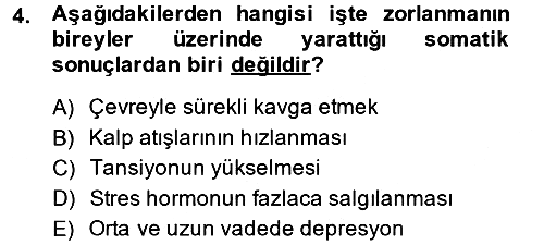 Çalışma Psikolojisi 2013-2014 Ara Sınav - 4. soru