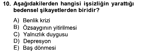 Çalışma Psikolojisi 2012-2013 Dönem Sonu Sınavı - 10. soru