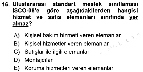 Çalışma Sosyolojisi 2018-2019 3 Ders Sınavı - 16. soru