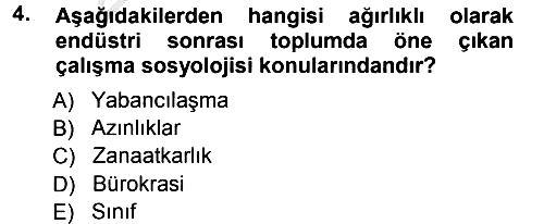 Çalışma Sosyolojisi 2012-2013 Ara Sınav - 4. soru
