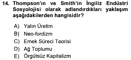 Çalışma Sosyolojisi 2015-2016 Ara Sınav - 14. soru