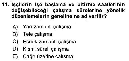 Çalışma Sosyolojisi 2018-2019 Ara Sınav - 11. soru