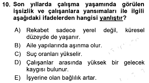 Çalışma Sosyolojisi 2021-2022 Ara Sınav - 10. soru