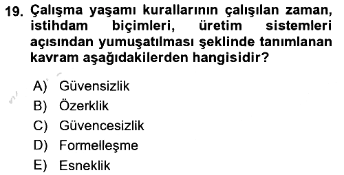 Çalışma Sosyolojisi 2021-2022 Ara Sınav - 19. soru