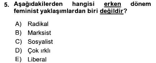 Çalışma Sosyolojisi 2017-2018 Dönem Sonu Sınavı - 5. soru