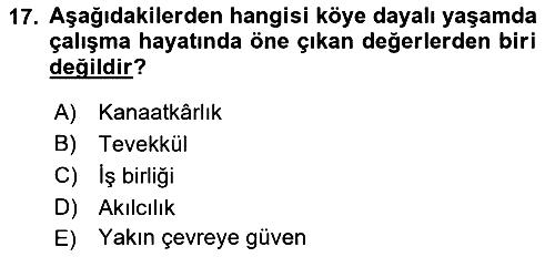 Çalışma Sosyolojisi 2018-2019 Dönem Sonu Sınavı - 17. soru