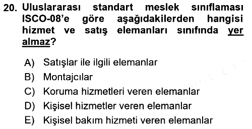 Çalışma Sosyolojisi 2018-2019 Dönem Sonu Sınavı - 20. soru