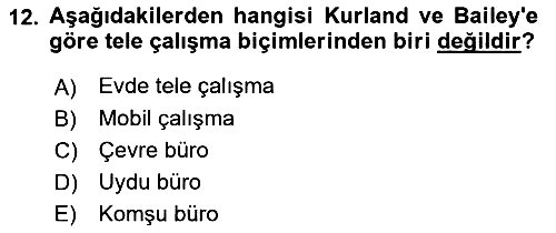 Çalışma Sosyolojisi 2018-2019 Yaz Okulu Sınavı - 12. soru