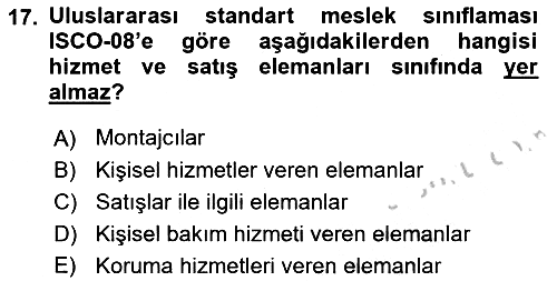 Çalışma Sosyolojisi 2018-2019 Yaz Okulu Sınavı - 17. soru