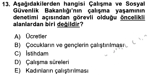 Çalışma Yaşamının Denetimi 2016-2017 Ara Sınav - 13. soru