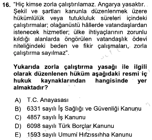 Çalışma Yaşamının Denetimi 2023-2024 Ara Sınav - 16. soru