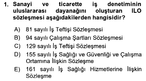 Çalışma Yaşamının Denetimi 2018-2019 Dönem Sonu Sınavı - 1. soru