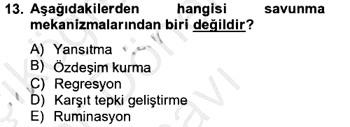 Davranış Bilimleri 2 2012-2013 Dönem Sonu Sınavı - 13. soru