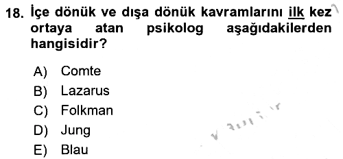 Davranış Bilimleri 2 2018-2019 Yaz Okulu Sınavı - 18. soru