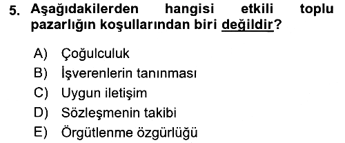 Endüstri İlişkileri 2017-2018 3 Ders Sınavı - 5. soru