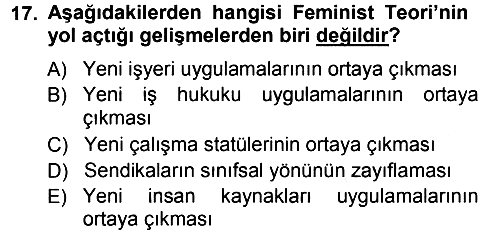 Endüstri İlişkileri 2012-2013 Ara Sınav - 17. soru
