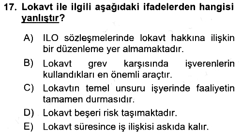 Endüstri İlişkileri 2018-2019 Dönem Sonu Sınavı - 17. soru