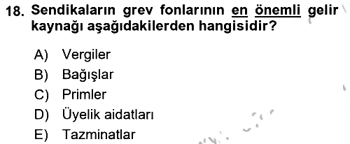 Endüstri İlişkileri 2018-2019 Yaz Okulu Sınavı - 18. soru