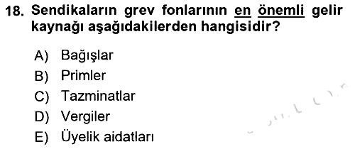 Endüstri İlişkileri 2022-2023 Yaz Okulu Sınavı - 18. soru