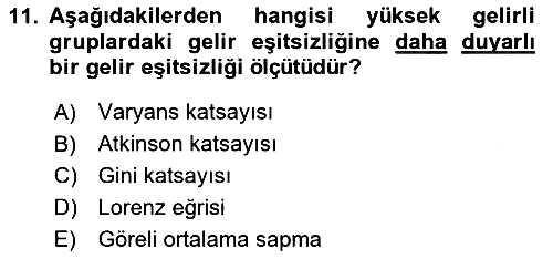 Gelir Dağılımı ve Yoksulluk 2024-2025 Ara Sınav - 11. soru