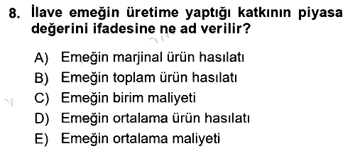 Gelir Dağılımı ve Yoksulluk 2025-2026 Dönem Sonu Sınavı - 8. soru