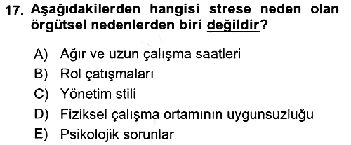 İnsan Kaynakları Yönetimi 2017-2018 3 Ders Sınavı - 17. soru