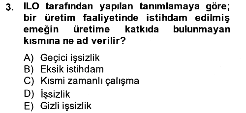 İstihdam ve İşsizlik 2014-2015 Ara Sınav - 3. soru