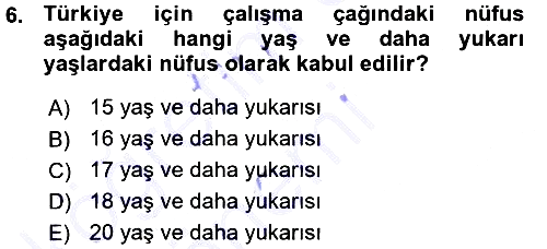 İstihdam ve İşsizlik 2015-2016 Ara Sınav - 6. soru