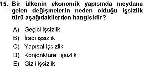 İstihdam ve İşsizlik 2015-2016 Ara Sınav - 15. soru