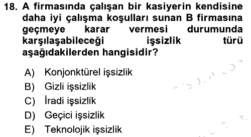 İstihdam ve İşsizlik 2017-2018 Ara Sınav - 18. soru