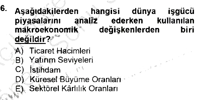 İstihdam ve İşsizlik 2012-2013 Dönem Sonu Sınavı - 6. soru