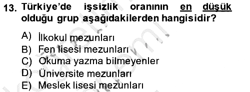 İstihdam ve İşsizlik 2014-2015 Dönem Sonu Sınavı - 13. soru