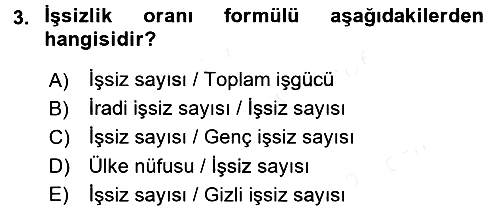 İstihdam ve İşsizlik 2016-2017 Dönem Sonu Sınavı - 3. soru