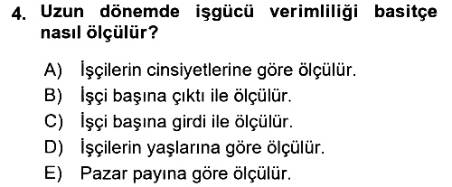 İstihdam ve İşsizlik 2016-2017 Dönem Sonu Sınavı - 4. soru