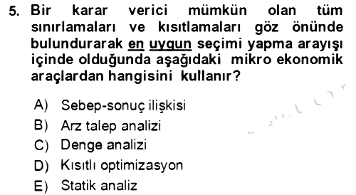 Mikro İktisat 2019-2020 Ara Sınav - 5. soru